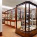 museum de histoire naturelle rouen 8-2021 9416
