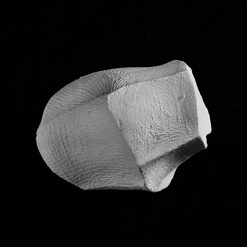 fragment 6924