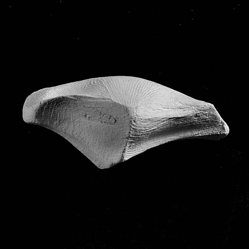 fragment 6982