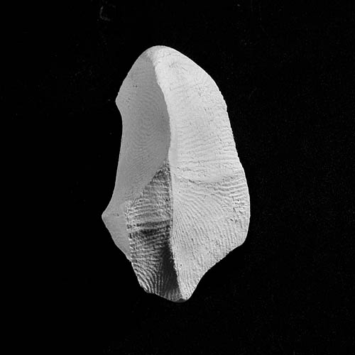 fragment 6986