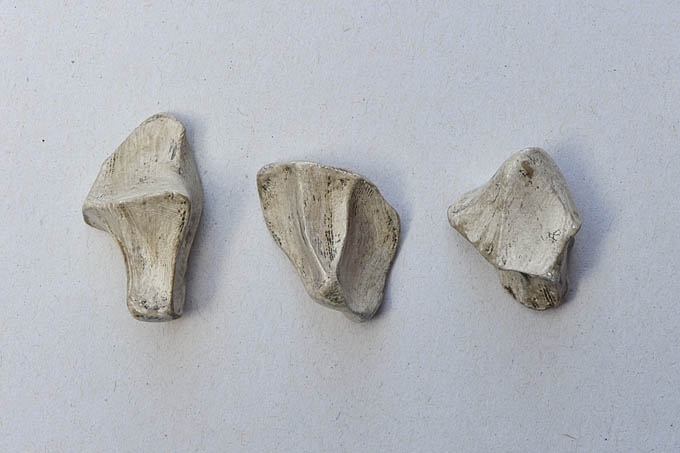 fragments 7150