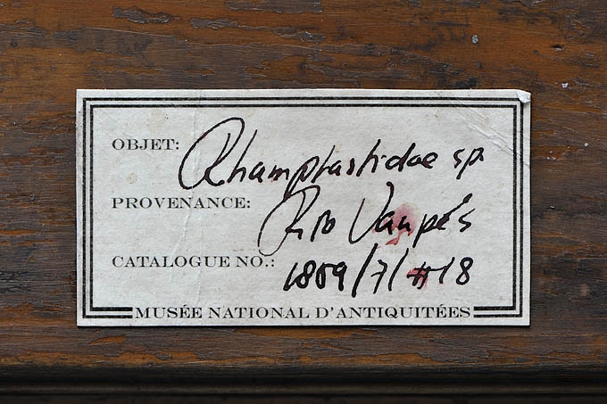 objet 1859-7-18  6581