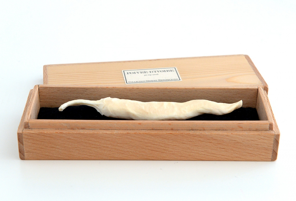 poivre de ivoire 9-2016 2401_1000