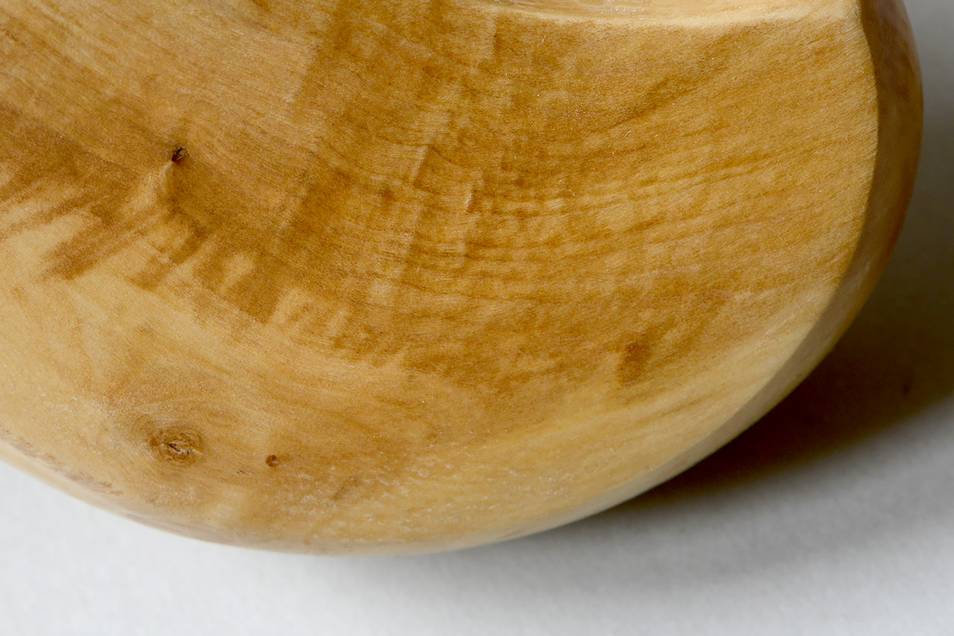 ZGK 3 (femur) 11-2023 9335