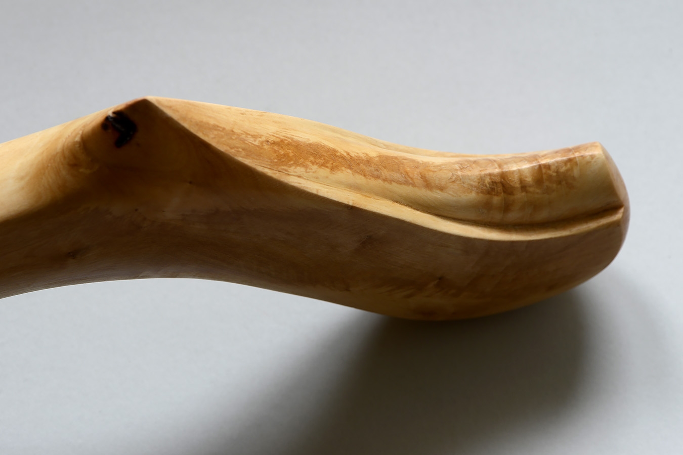ZGK 3 (femur) 11-2023 9337