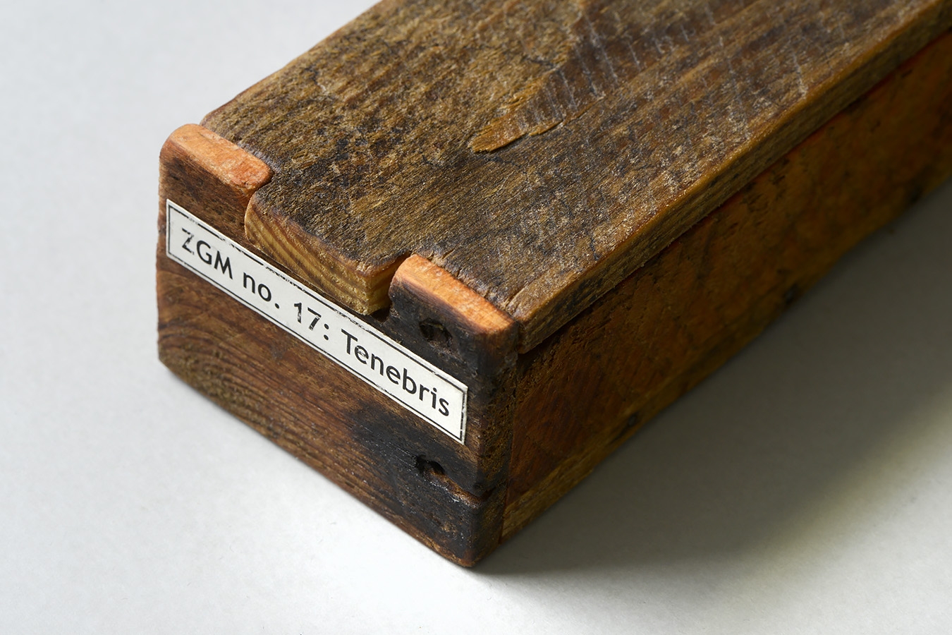 kistje zgm 17 11-2025 2525