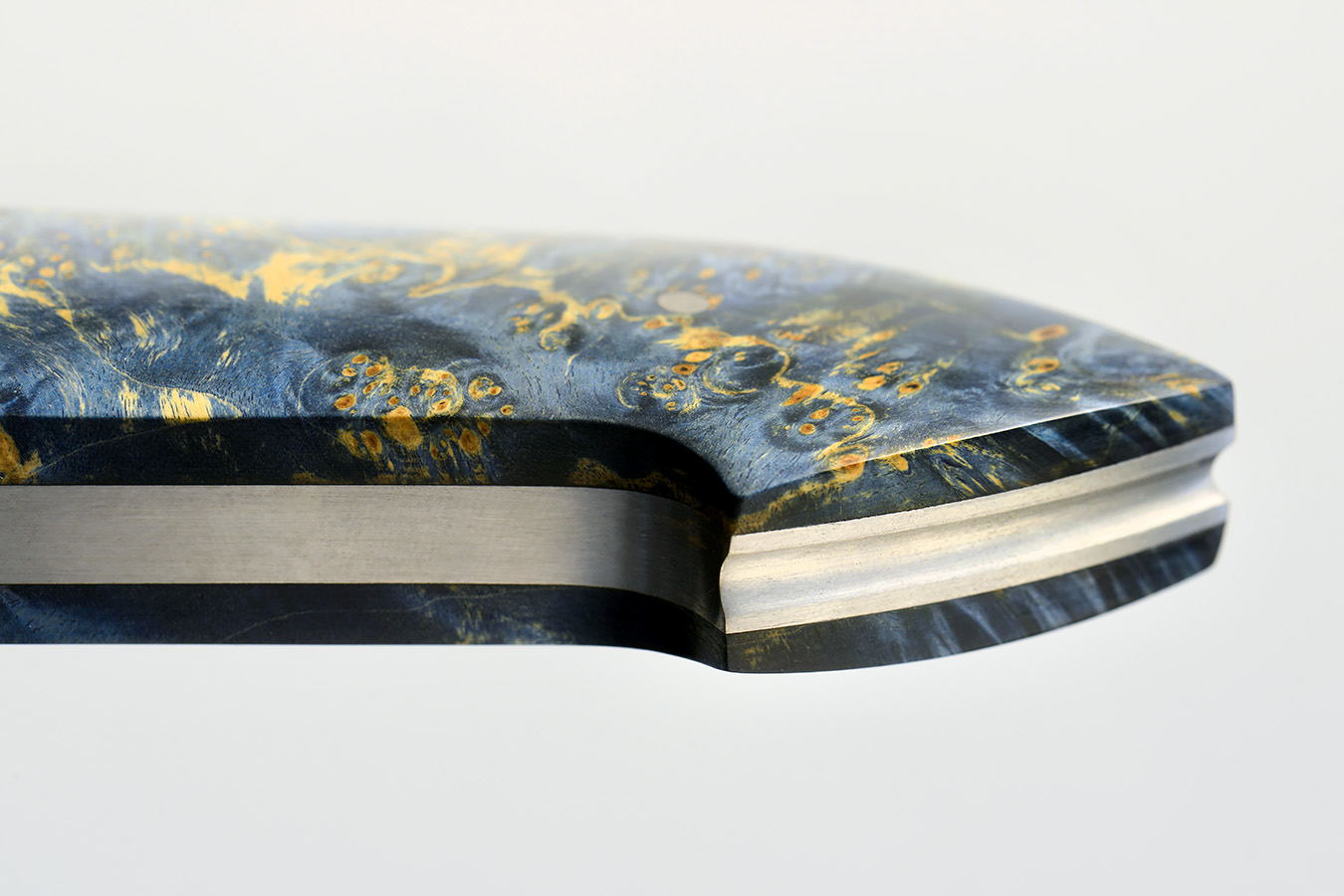 zgm 26 aculeus 5-2024 0460