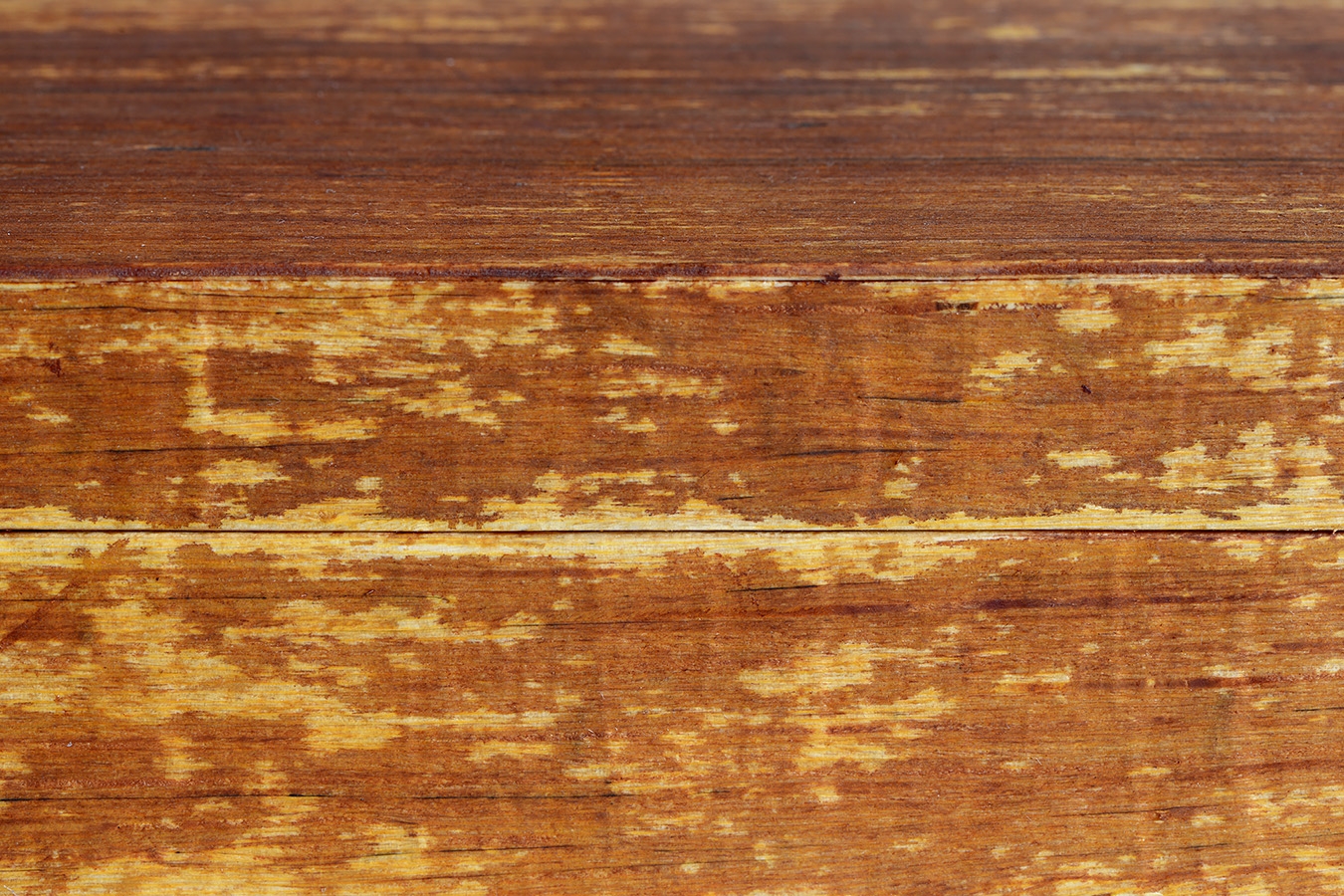 kistje zgm 6 halek 1-2025 1879