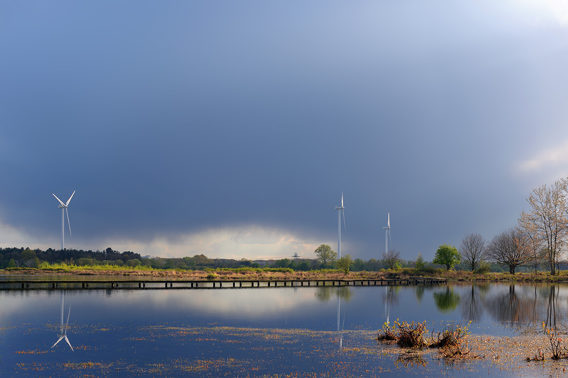 de moer 4-2017 8262