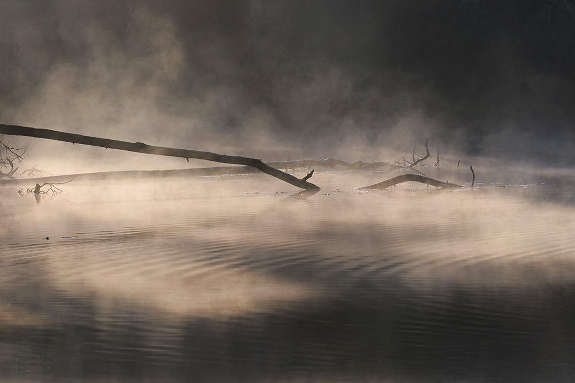 groot goorven 11-2020 4027