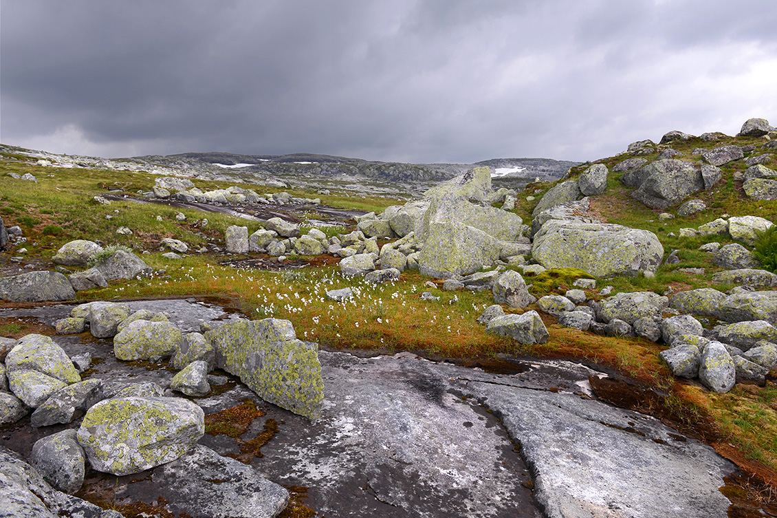 hardangervidda 7-2018 6164