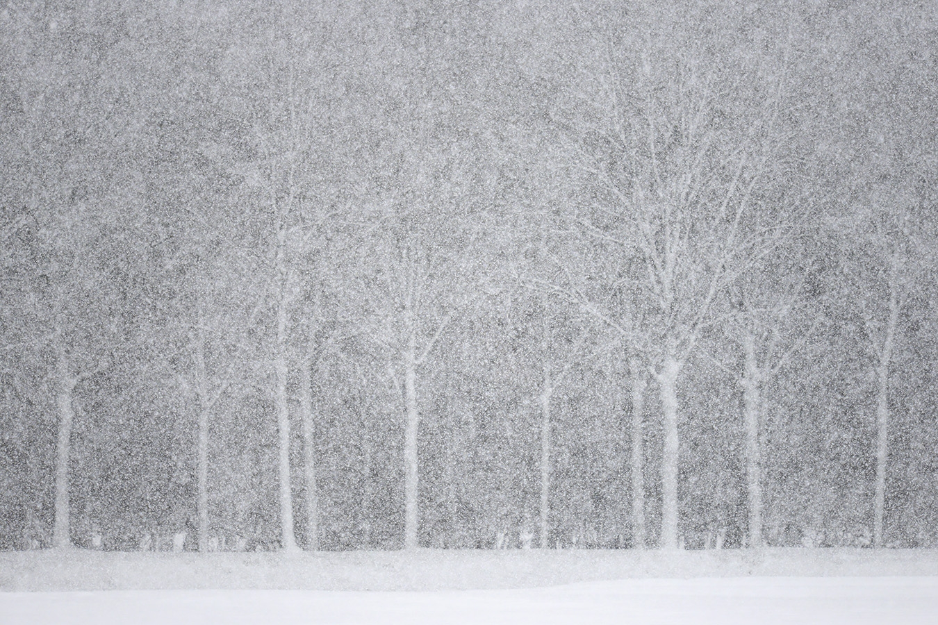 sneeuwstorm 1-2026 2586