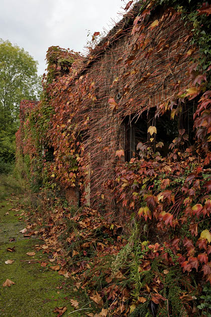 doornstraat wilrijk 10-2010 0674
