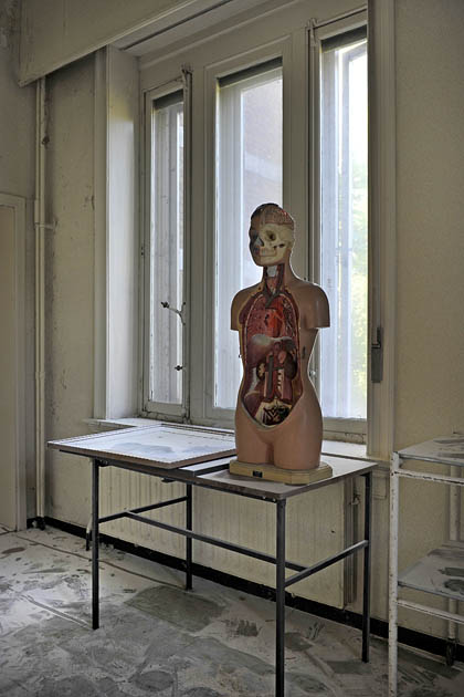 anatomiepop st lucas antwerpen