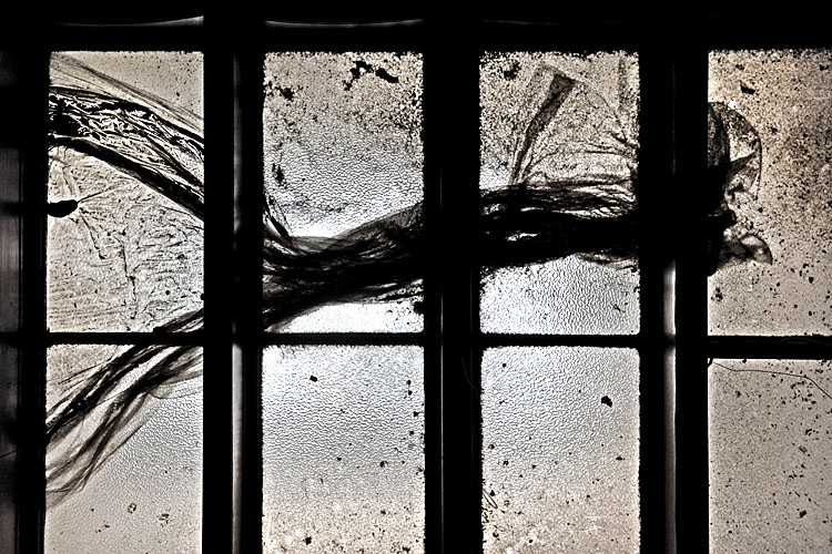 chambre du commerce 10-2012 1122