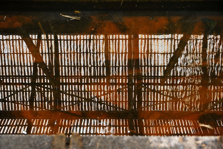 douaneloods essen 3-2013 6098