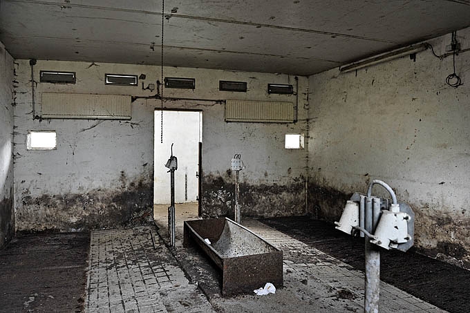 grote hoeve merksplas 03-2010 5848