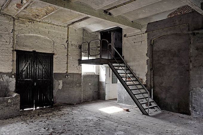 grote hoeve merksplas 03-2010 5856