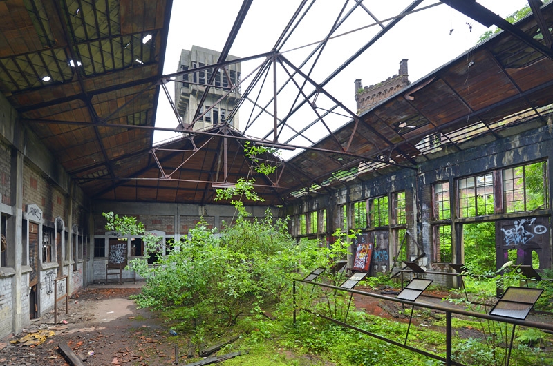 hasard cheratte 6-2013 0591