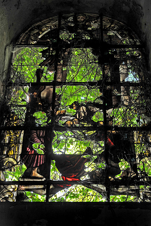 opus 206 9-2012 0235