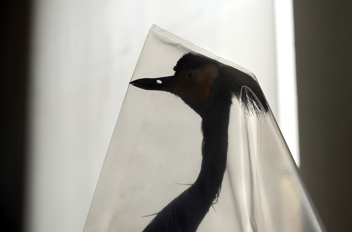 museum de histoire naturelle rouen 10-2021 0107