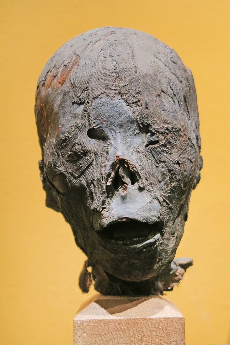 geneeskundemuseum brussel 8-2025 3067