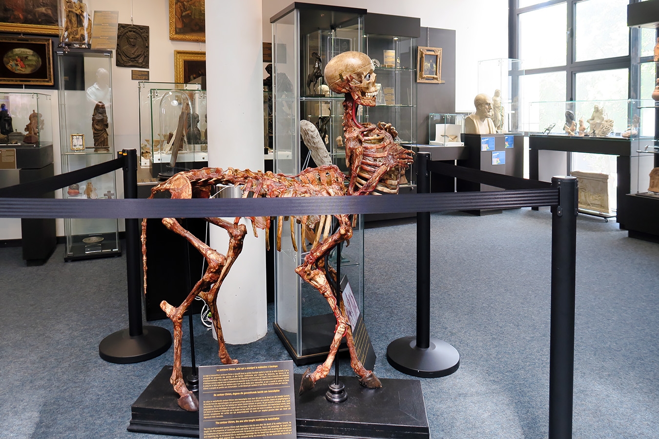 geneeskundemuseum brussel 8-2025 3072