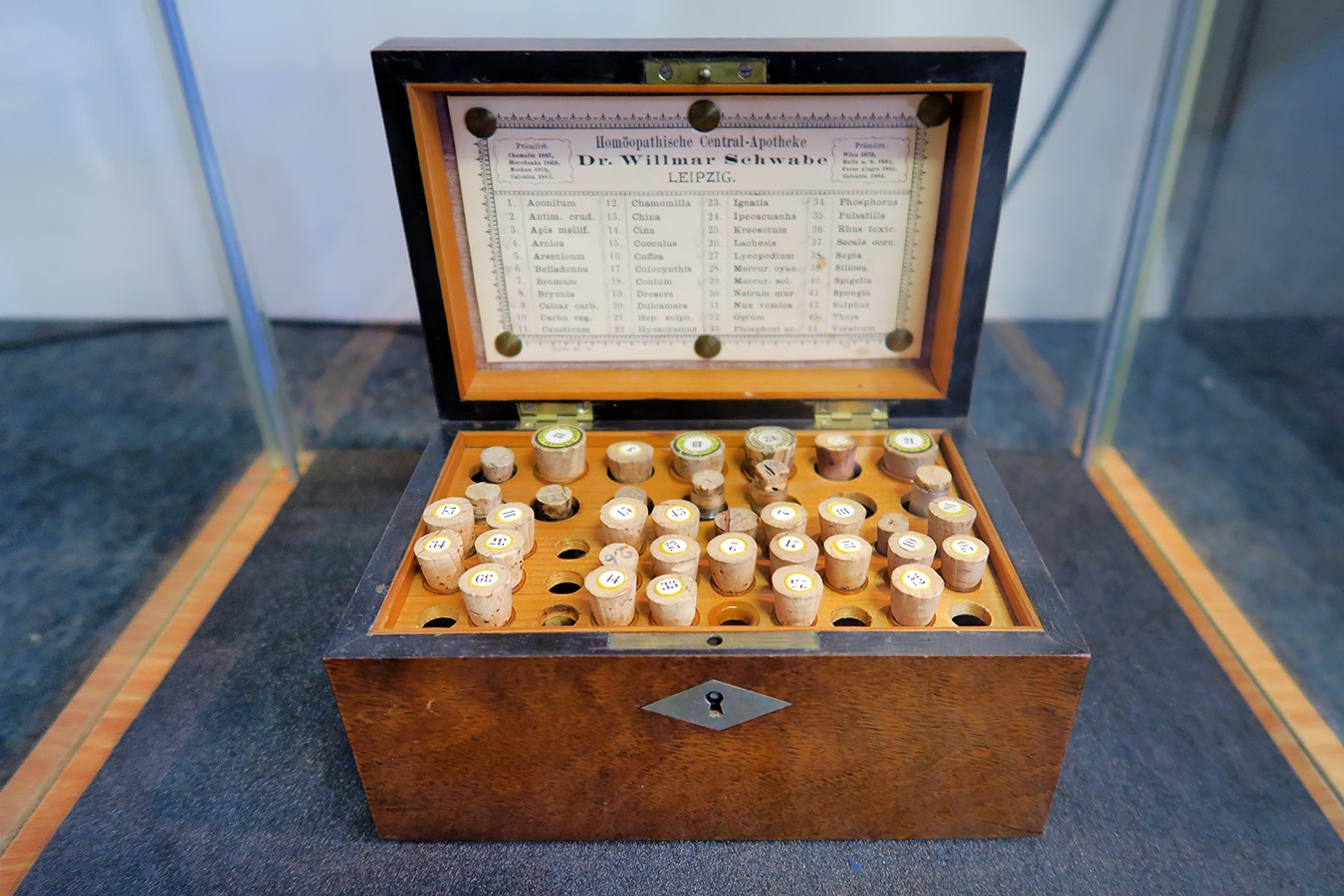 geneeskundemuseum brussel 8-2025 3089