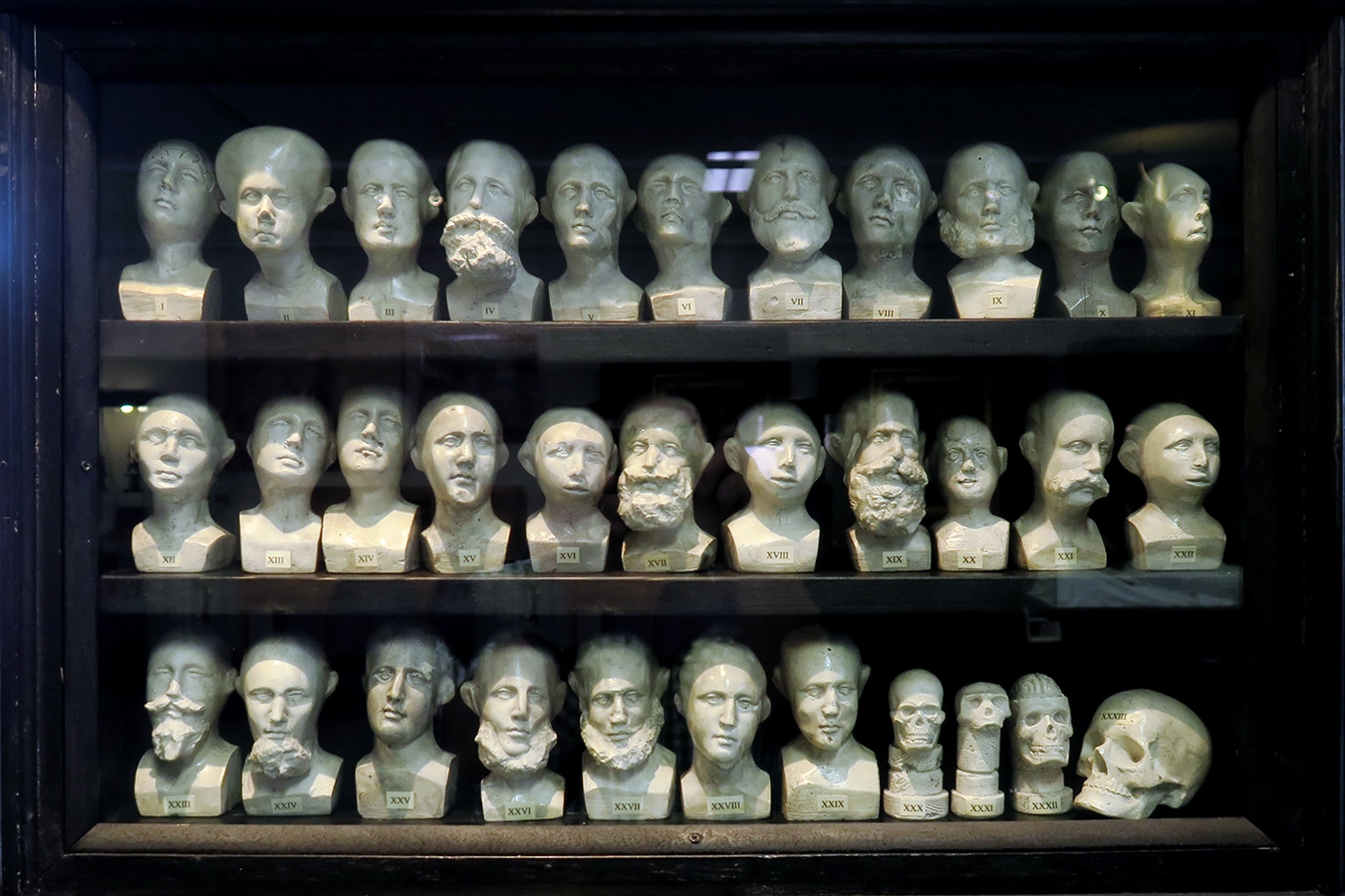 geneeskundemuseum brussel 8-2025 3124