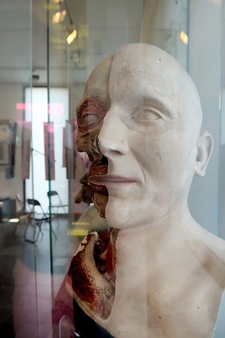 geneeskundemuseum brussel 8-2025 3150
