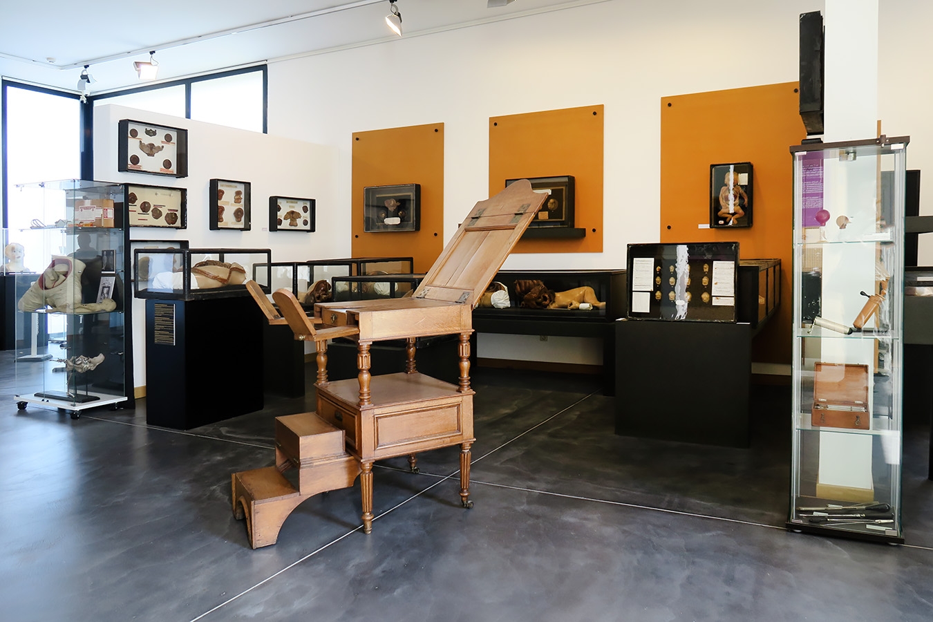 geneeskundemuseum brussel 8-2025 3156