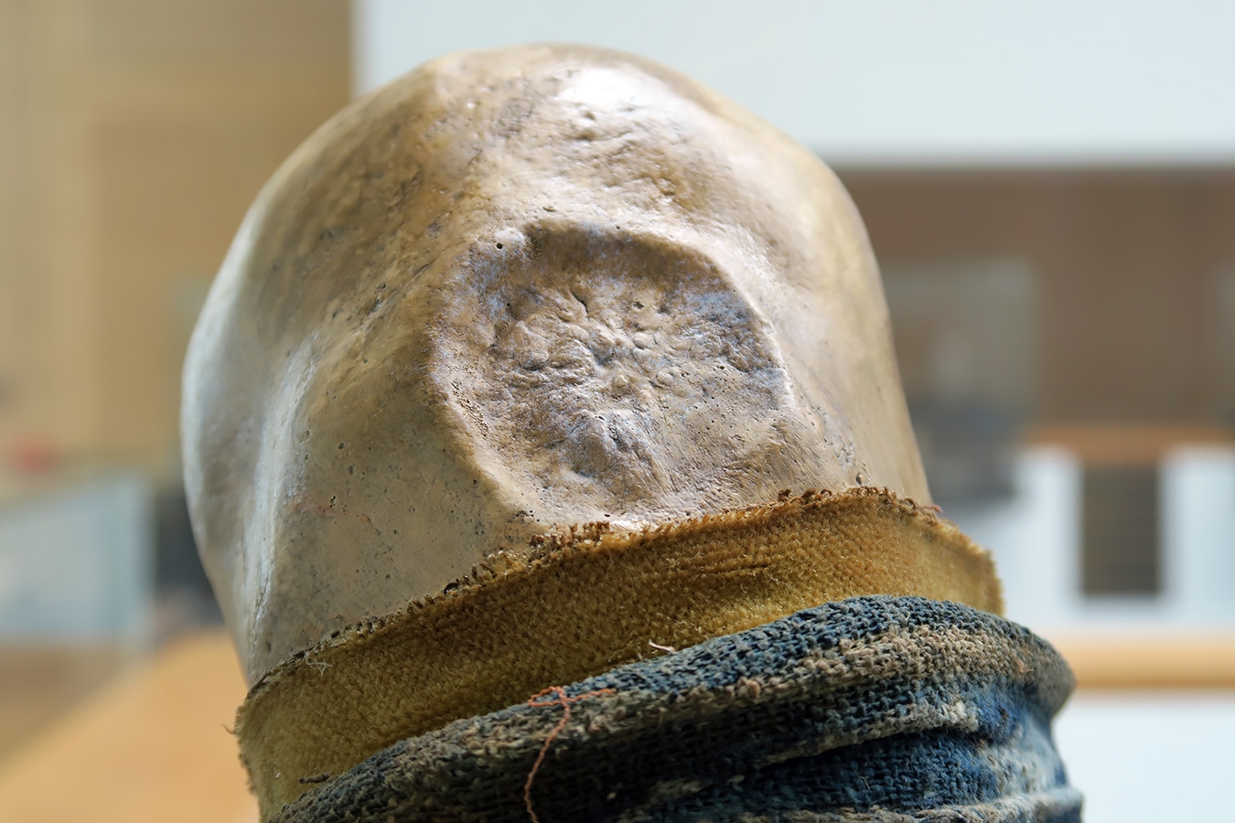 geneeskundemuseum brussel 8-2025 3201