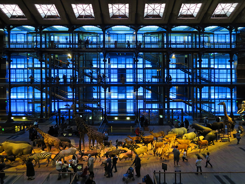 grande gallerie de evolution parijs 12-2015 1377