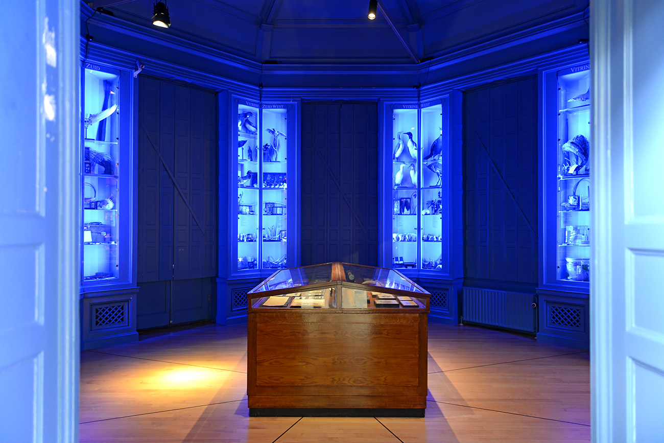 het natuurhistorisch rotterdam 3-2022 1341