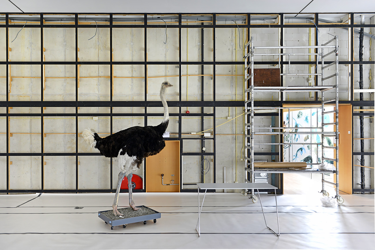 het natuurhistorisch rotterdam 3-2022 1363