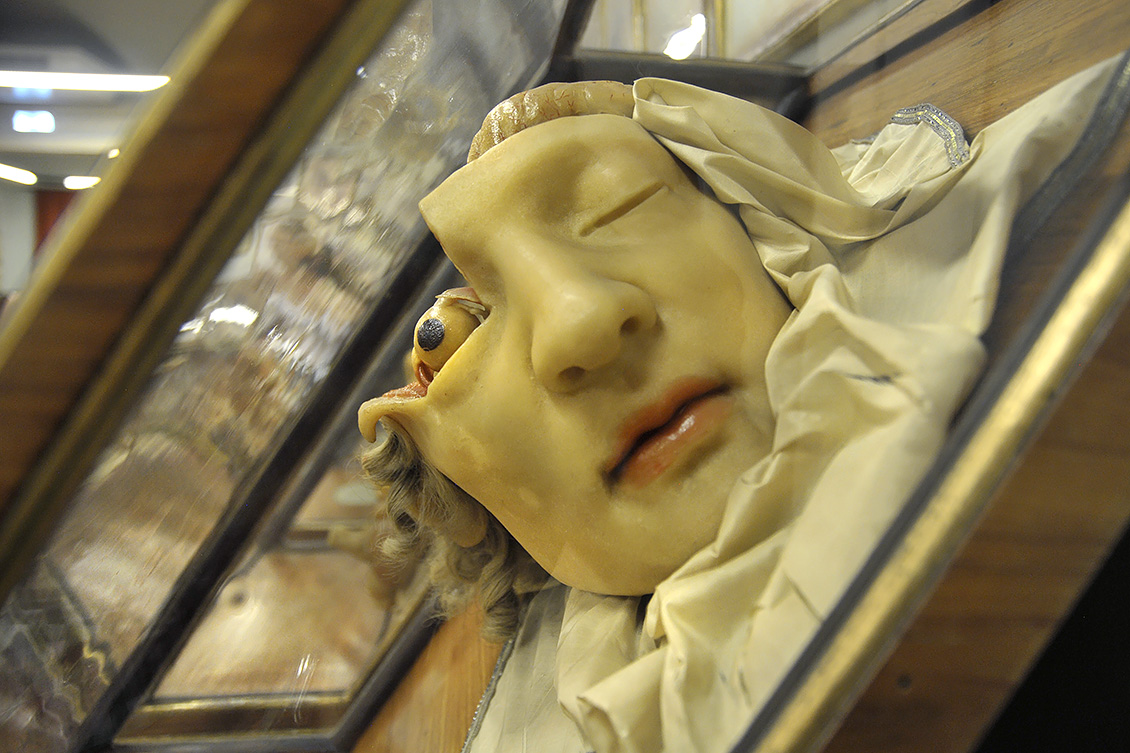 la specola anatomische modellen 8-2017 0819