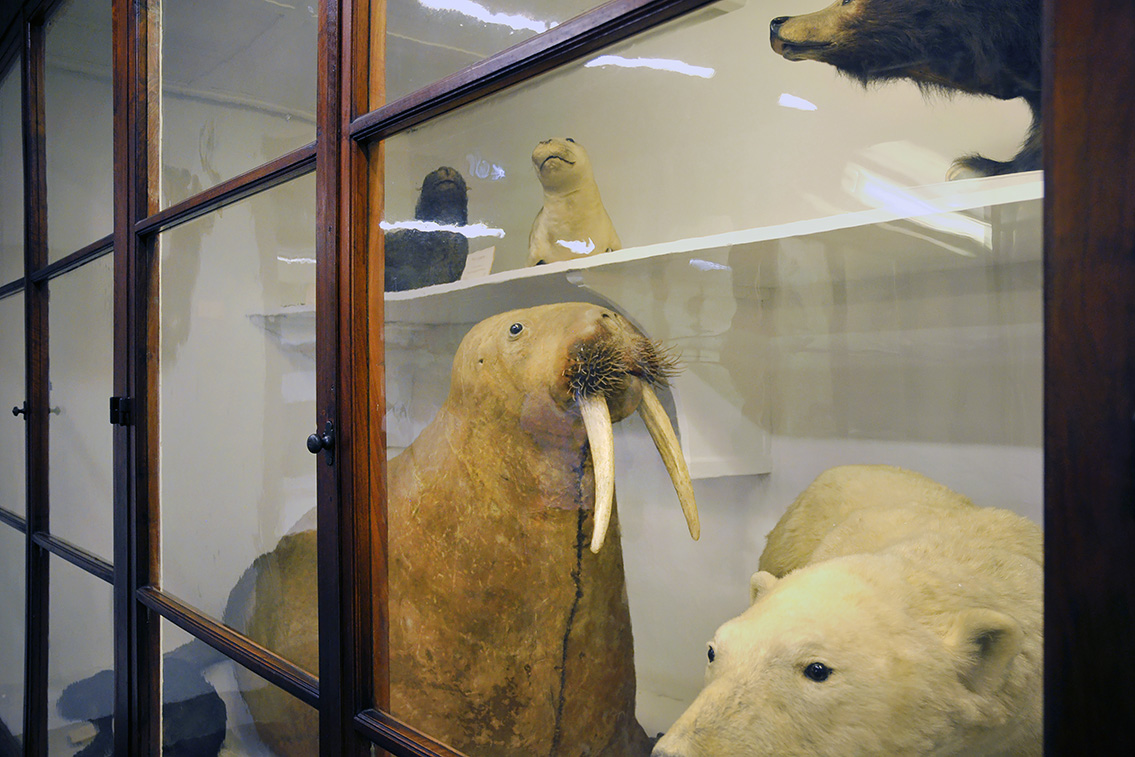 la specola zoologie 8-2017 0706