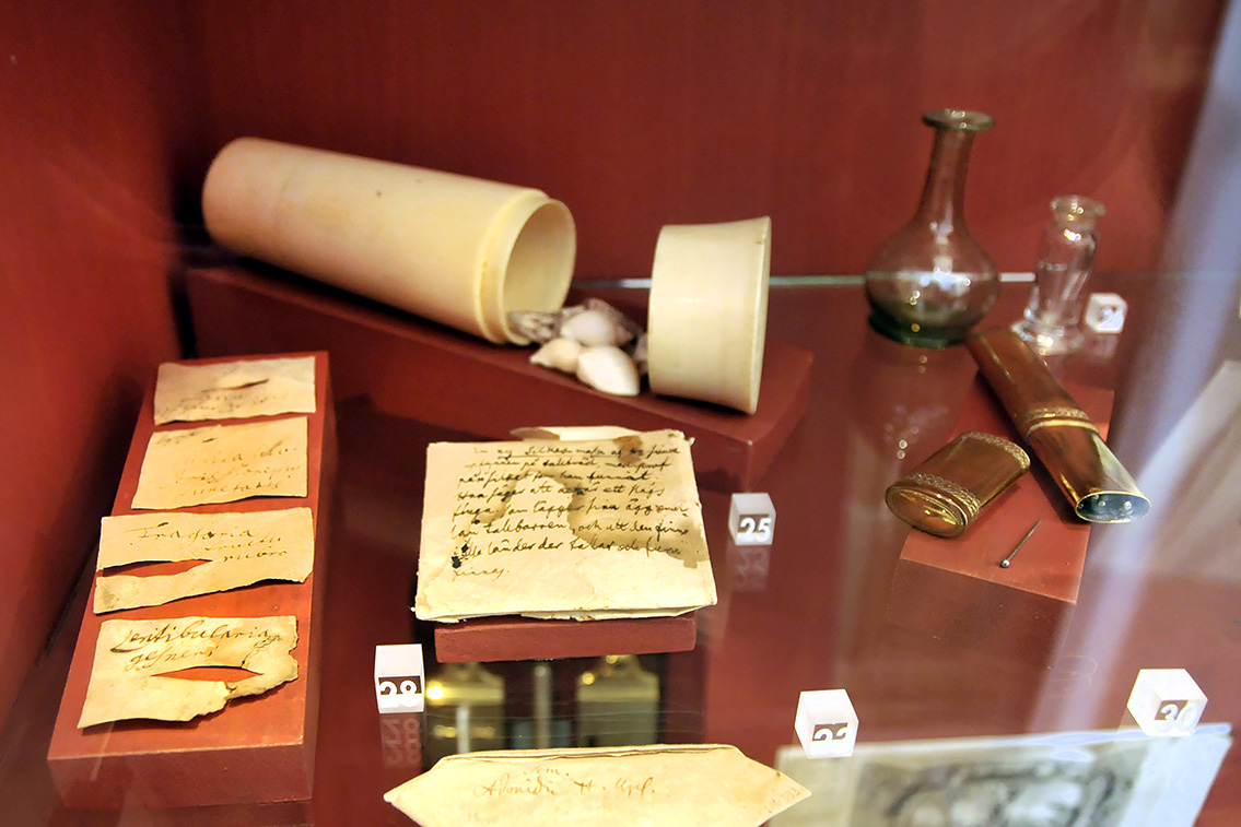 linnaeus museum uppsala 8-2015 8000