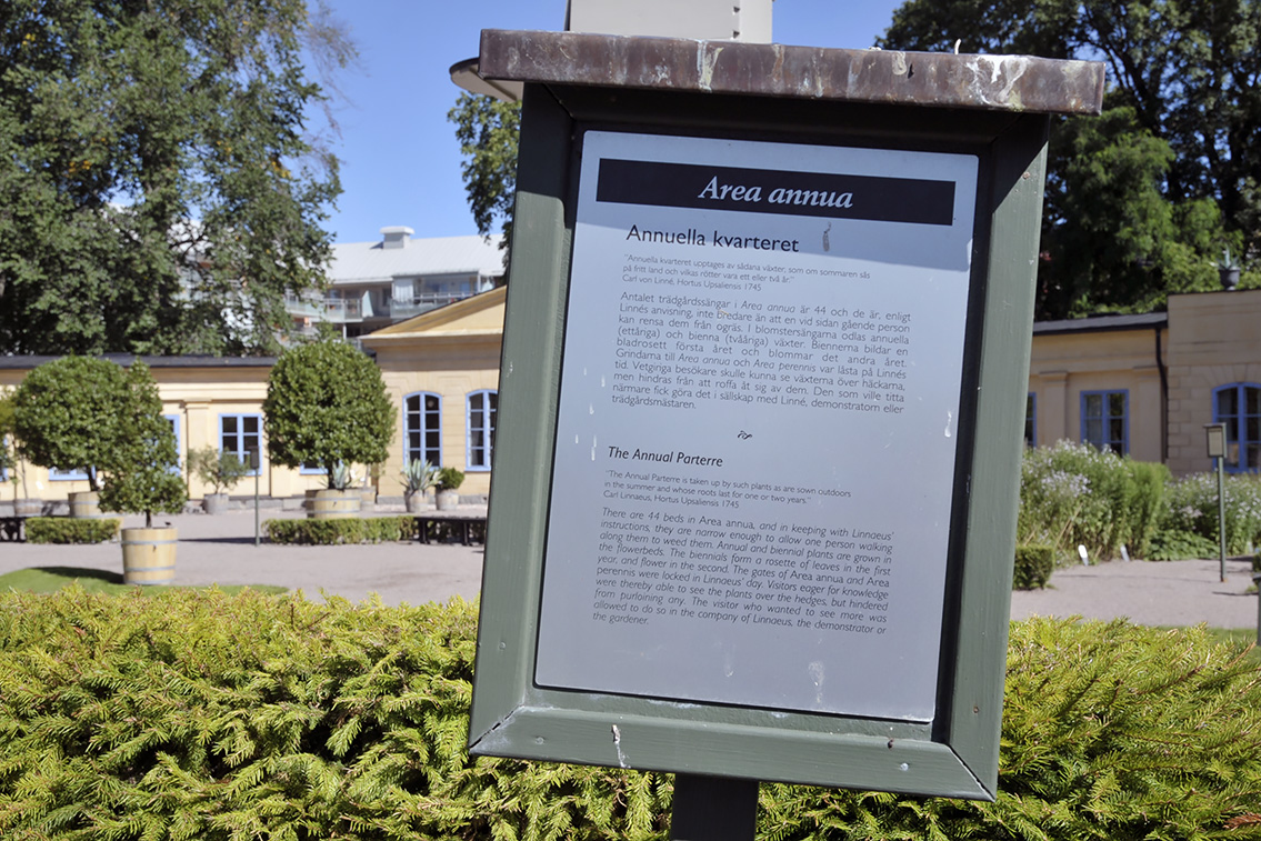 linnaeus museum uppsala 8-2015 8020