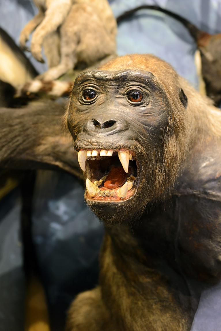 manchester museum 9-2023 8770