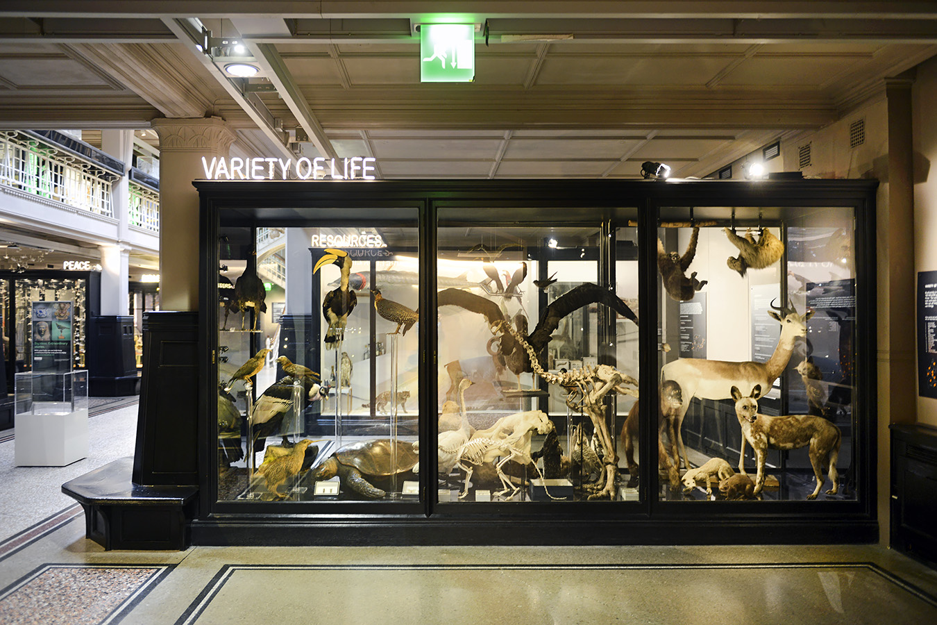 manchester museum 9-2023 8772