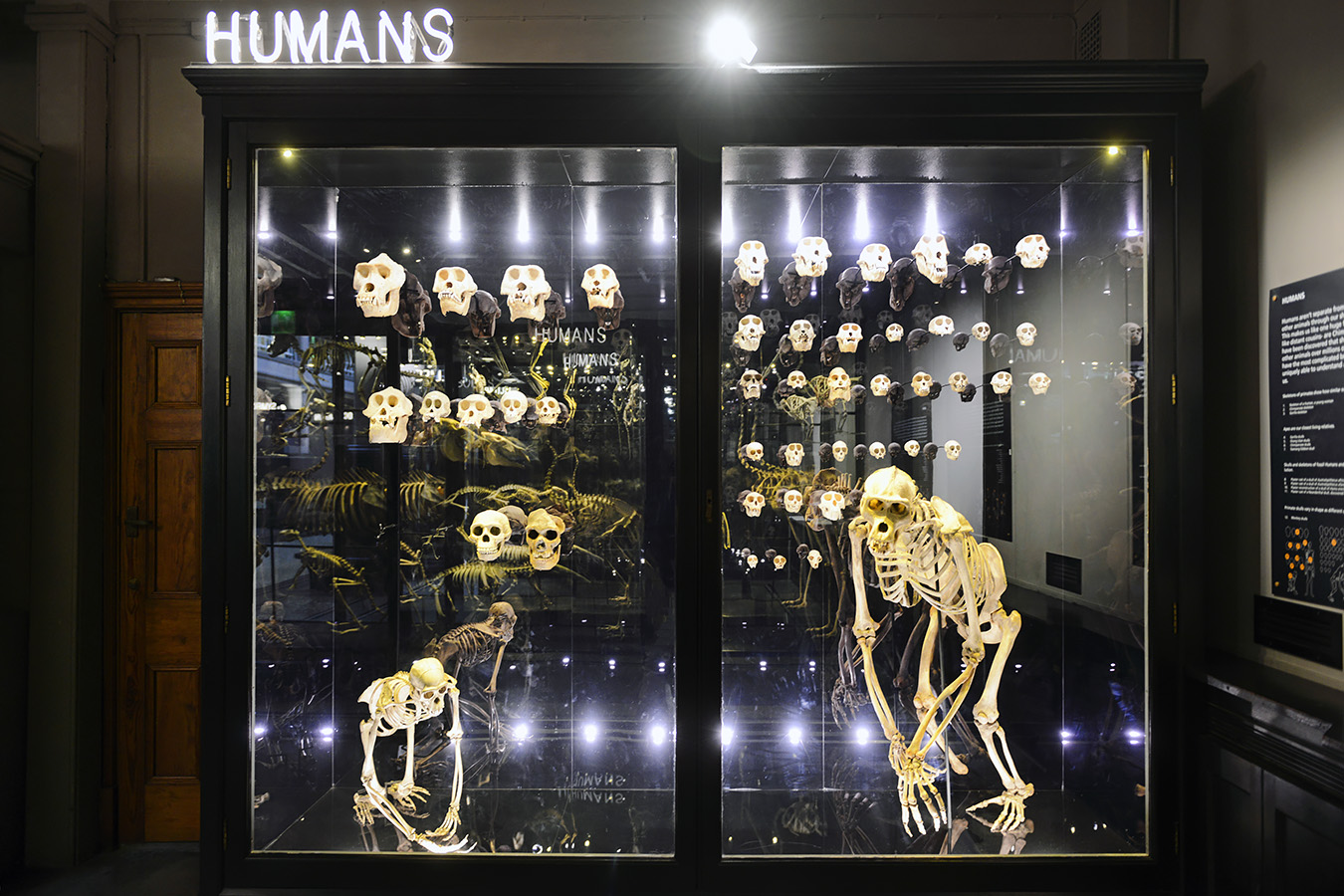 manchester museum 9-2023 8790