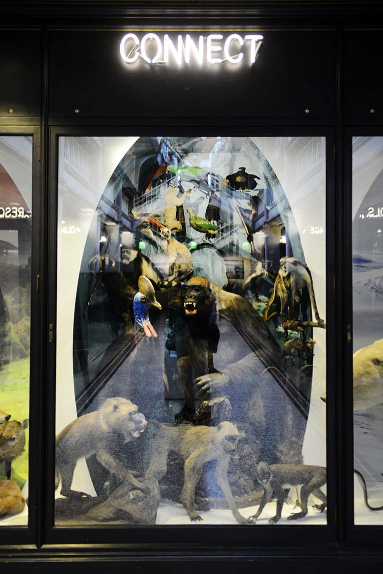 manchester museum 9-2023 8827
