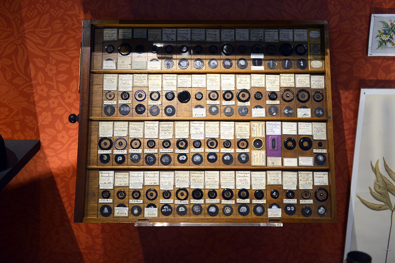 manchester museum 9-2023 8833