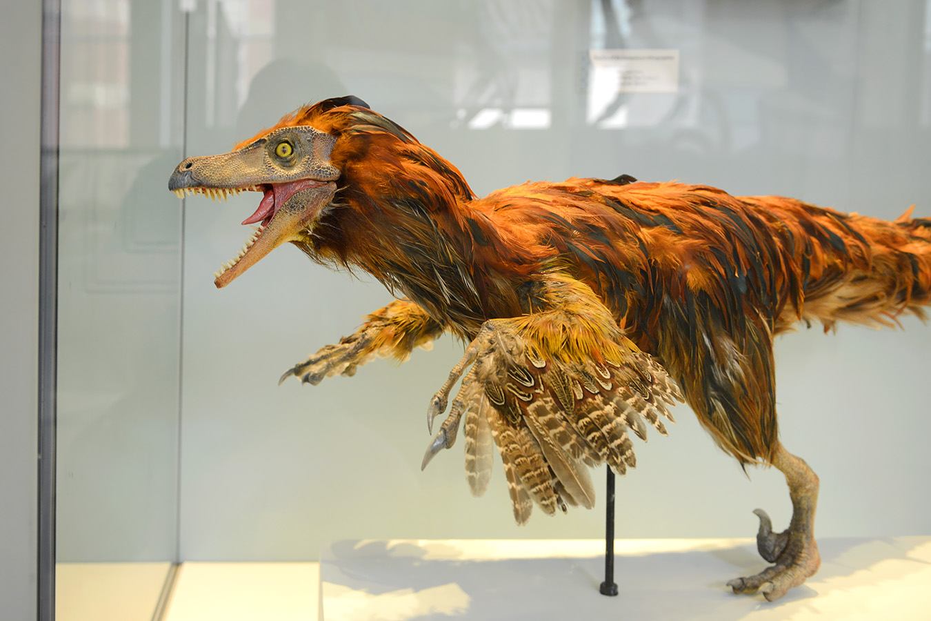 manchester museum 9-2023 8885