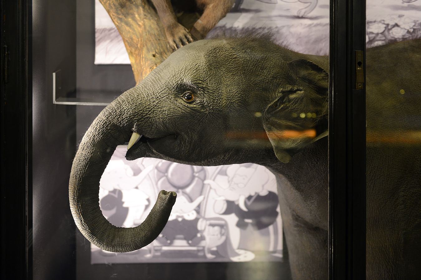 manchester museum 9-2023 8924