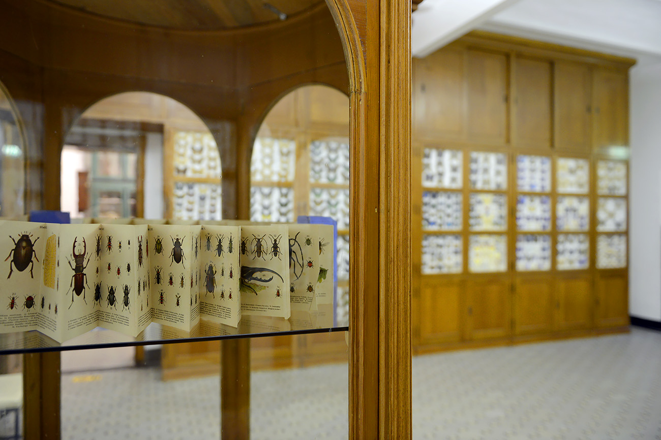 missiemuseum steyl 5-2022 2376