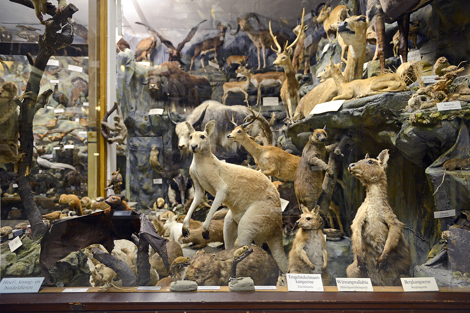 missiemuseum steyl 5-2022 2459