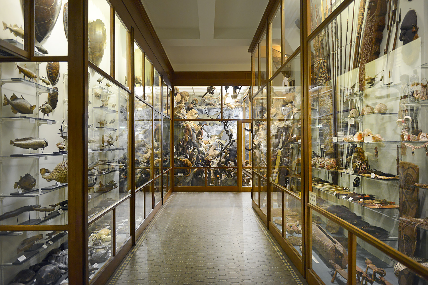 missiemuseum steyl 5-2022 2471