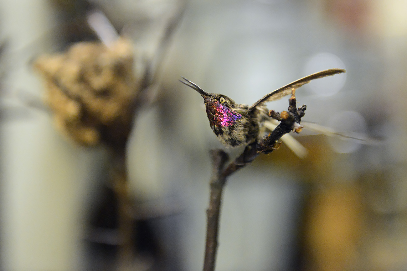 missiemuseum steyl 5-2022 2487